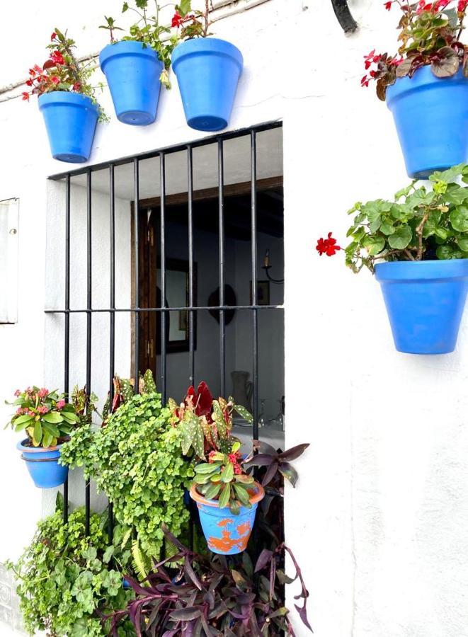 Casa Rural Manantial De Las Jaras Istán Екстериор снимка