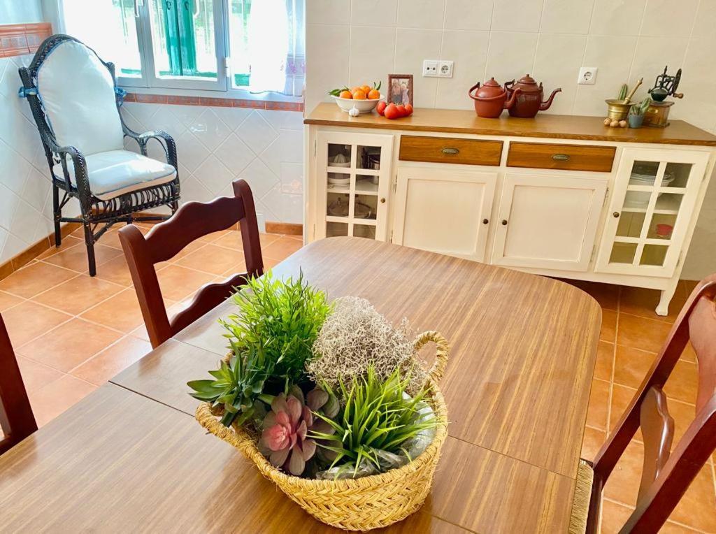 Casa Rural Manantial De Las Jaras Istán Екстериор снимка